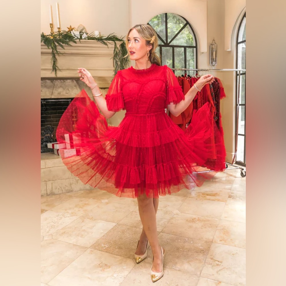 BNWT Ivy City Co Short Whimsical Dress in Red